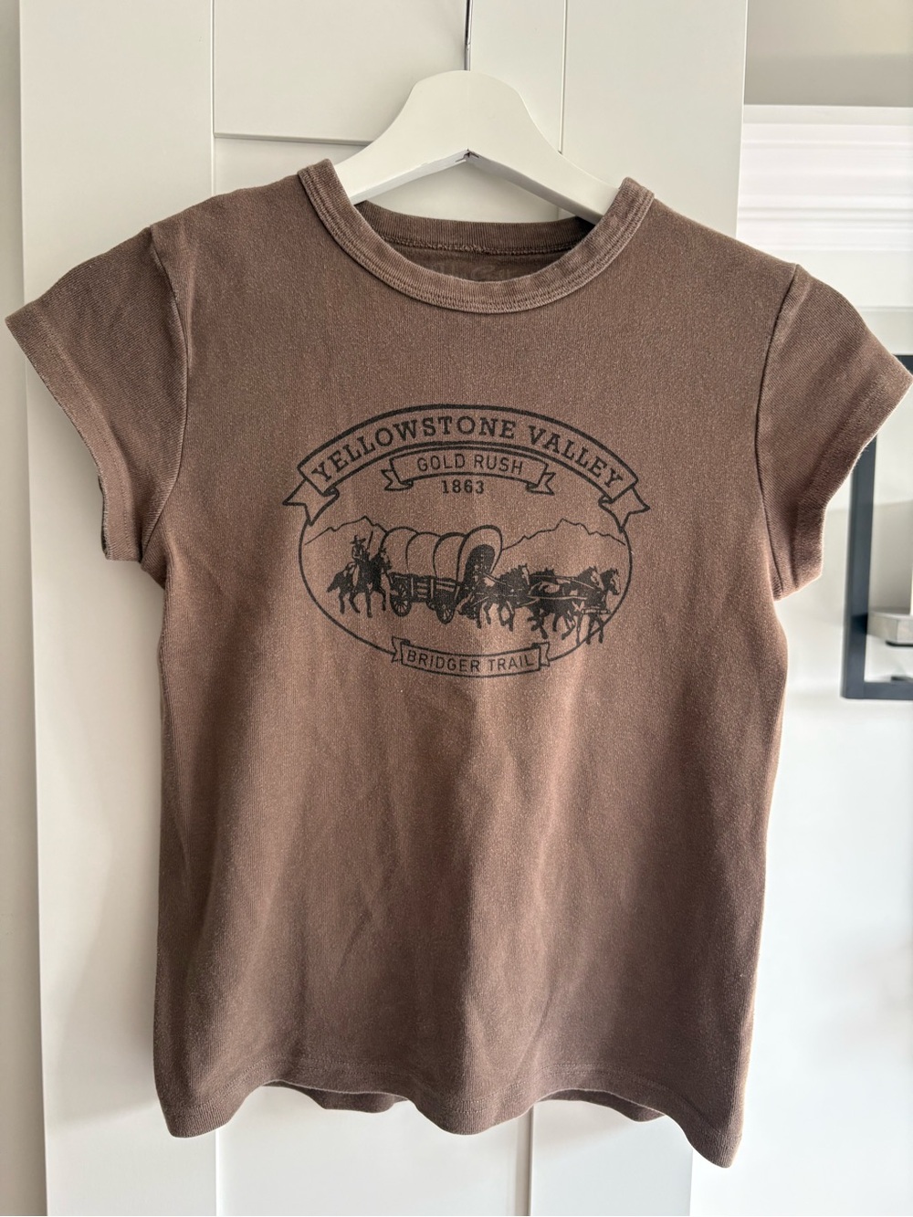 Brandy Melville Yellowstone Valley Graphic T‑Shirt - Brown